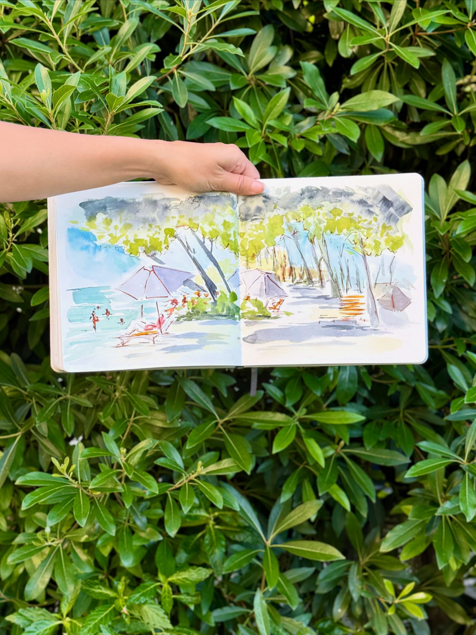 Carnet d'aquarelle tenu devant un feuillage vert