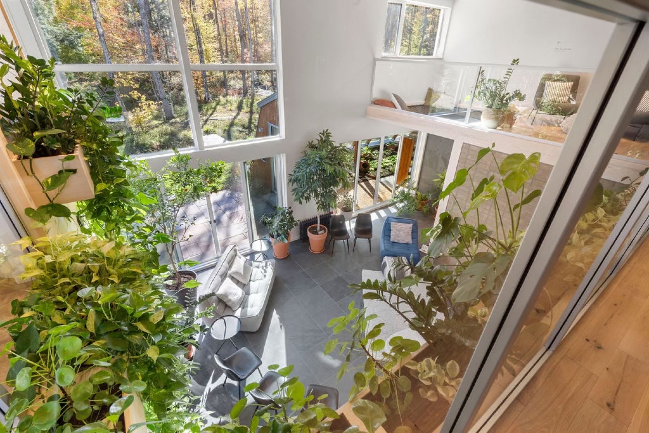 Solarium végétalisé du Pavillon Oasis vu depuis l'étage