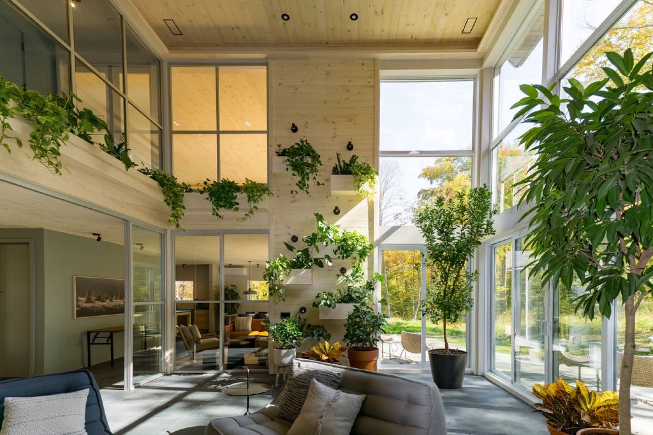Grand solarium du Pavillon Oasis ouvert sur la forêt