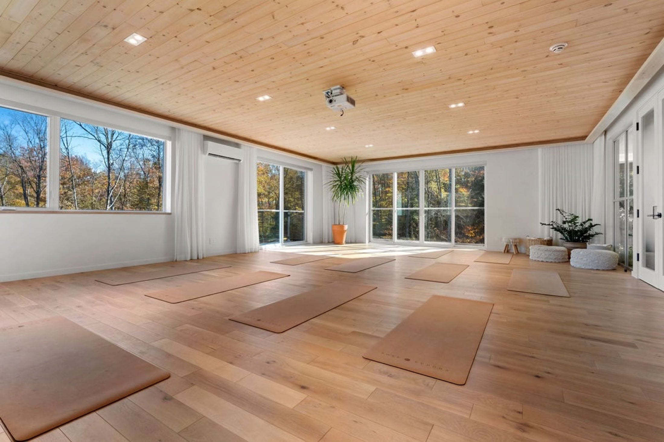 Salle de yoga lumineuse du Pavillon Oasis donnant sur la forêt